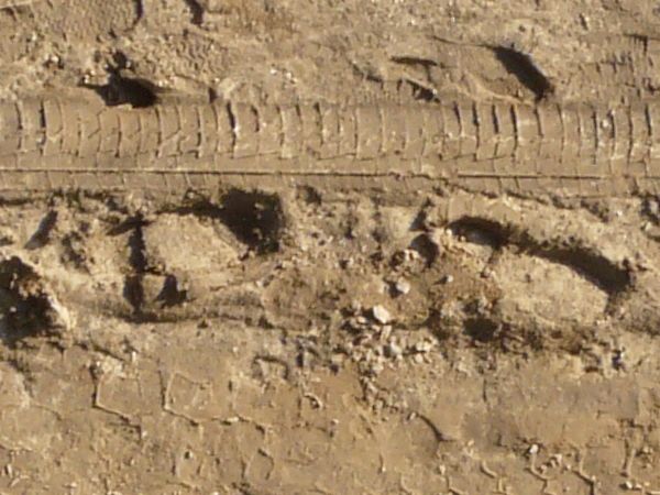 Texture of brown, dirt road with tire and shoe marks on surface.